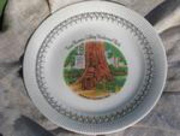 catalog photo of 50s vintage Redwood Highway souvenir plate, Tree House at Lilley Park