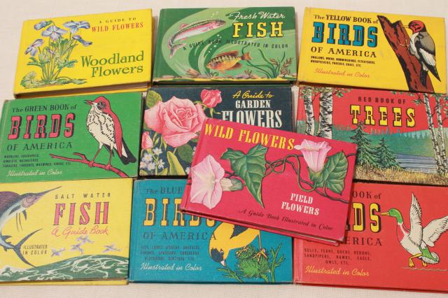 photo of 50s vintage Whitman Guides, lot of 10 little guide books flowers, trees, birds, fish #1