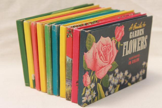 photo of 50s vintage Whitman Guides, lot of 10 little guide books flowers, trees, birds, fish #3