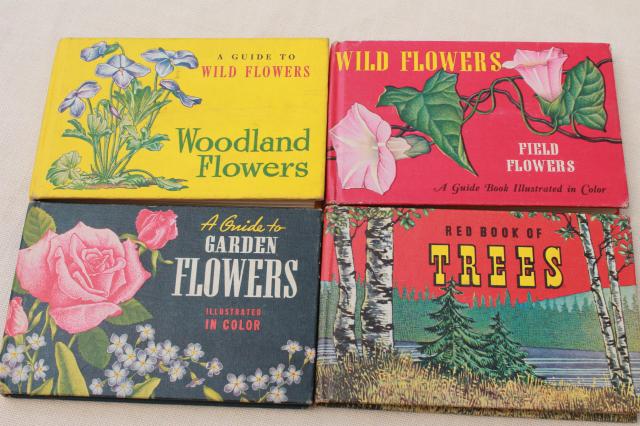 photo of 50s vintage Whitman Guides, lot of 10 little guide books flowers, trees, birds, fish #6