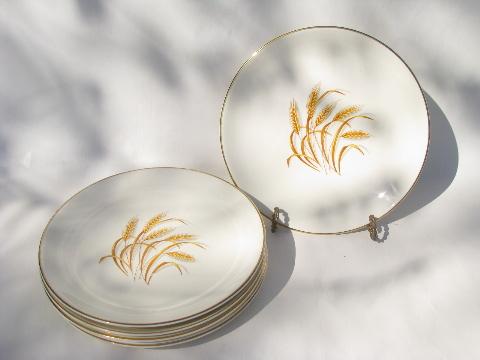 photo of 6 Golden Wheat china dinner plates, vintage Homer Laughlin pottery #1