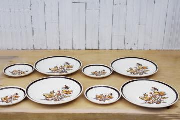 catalog photo of 60s 70s vintage dinner & salad plates, Frolic hippie wild flowers pattern Royal china