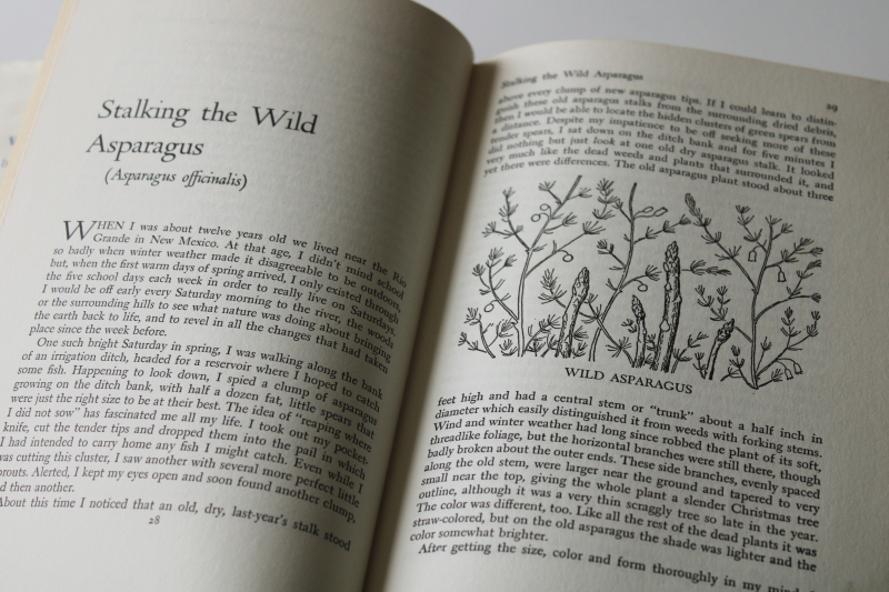 photo of 60s vintage wild food classic Stalking the Wild Asparagus, gathering & eating guide book #4