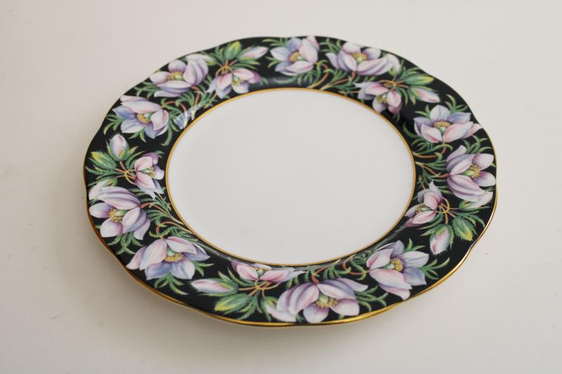 photo of 70s vintage Royal Albert china plate, Provincial flowers crocus on black border #2