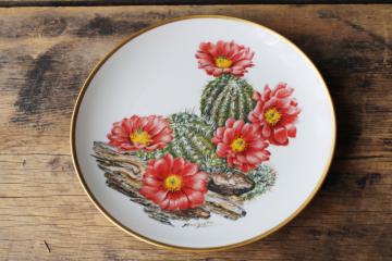 catalog photo of 70s vintage cactus flower collector's plate, Sierra Club southwest wildflowers series