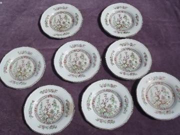 catalog photo of 8 India Indian Tree plates, Burgess and Leigh antique English Staffordshire