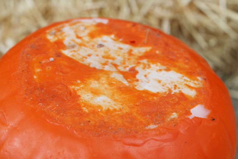 photo of 80s vintage Halloween candle BIG jack o lantern figural candle whipped wax pumpkin  #5