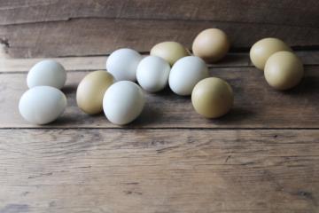catalog photo of 90s vintage country primitive nest eggs, brown & white, decorative basket or bowl fillers 