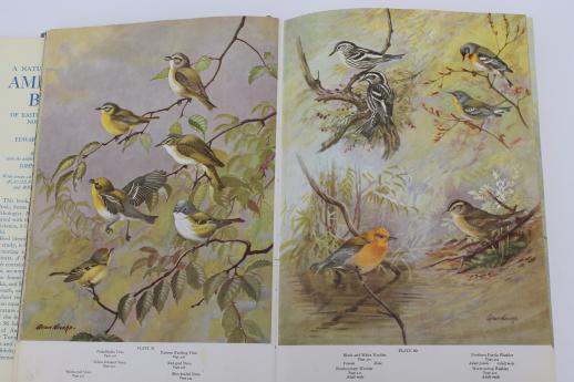 photo of A Natural History of American Birds - Edward Howe Forbush & John Bichard May #4