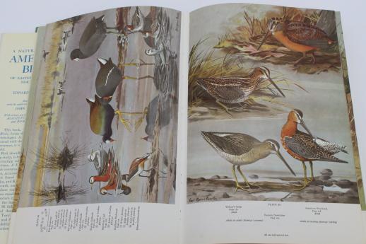 photo of A Natural History of American Birds - Edward Howe Forbush & John Bichard May #8