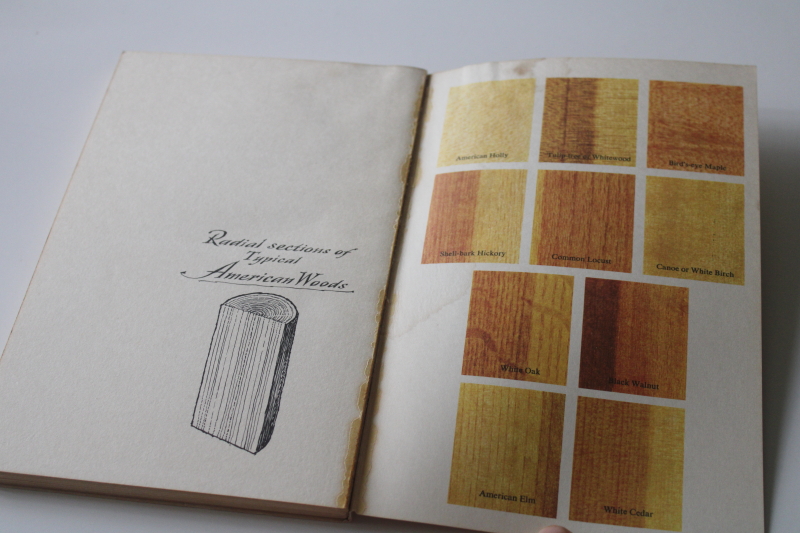 photo of A Reverence for Wood Eric Sloane 1970s vintage softcover book, building construction techniques  #4