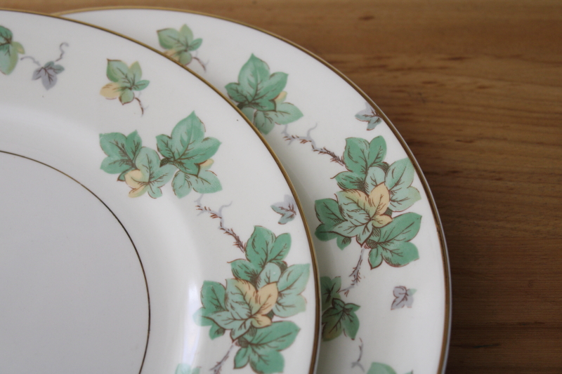 photo of American Ivy cream & green border dinner plates set of 8, vintage Pope Gosser china #3