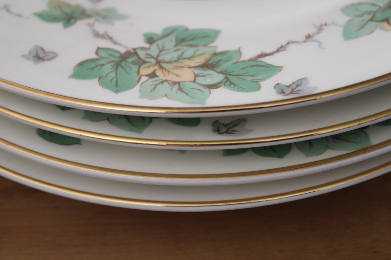 photo of American Ivy cream & green border dinner plates set of 8, vintage Pope Gosser china #5