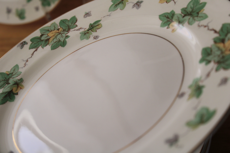 photo of American Ivy cream & green border dinner plates set of 8, vintage Pope Gosser china #6