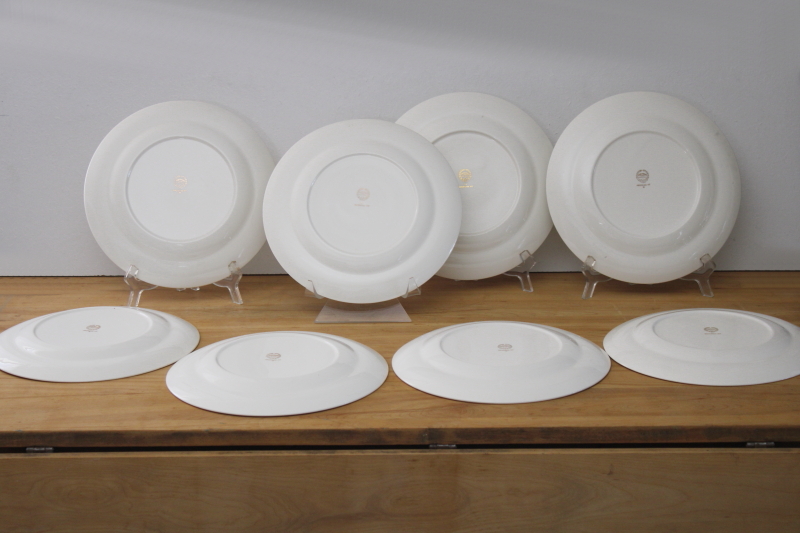 photo of American Ivy cream & green border dinner plates set of 8, vintage Pope Gosser china #7