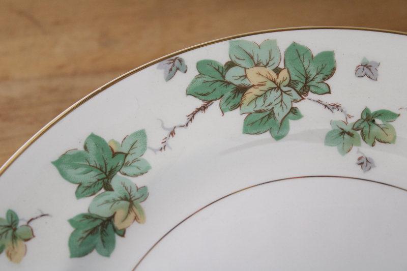 photo of American Ivy cream & green border dinner plates set of 8, vintage Pope Gosser china #8