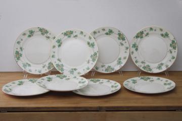 catalog photo of American Ivy cream & green border dinner plates set of 8, vintage Pope Gosser china