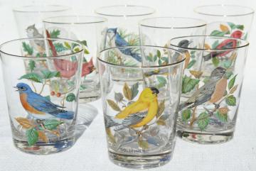 catalog photo of American Song Birds set vintage on the rocks glasses, West Virginia glass