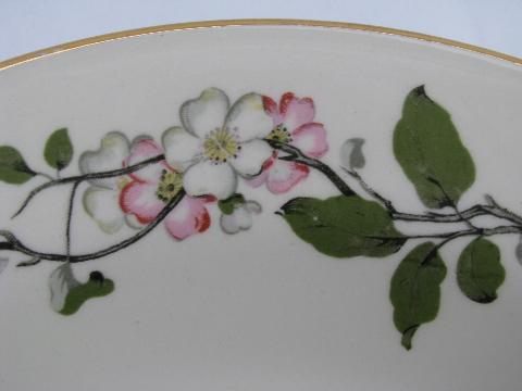 photo of Apple Blossom vintage Homer Laughlin Eggshell Georgian, 10 soup plates #3