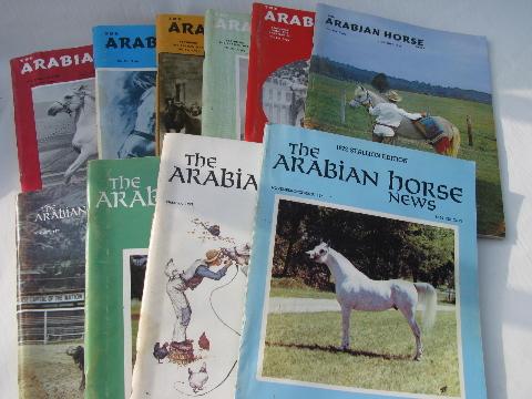 photo of Arabian Horse News magazine back issues full year 1971 #1