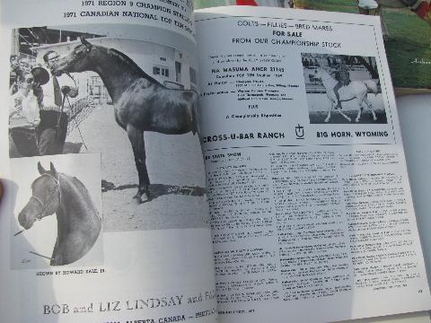 photo of Arabian Horse News magazine back issues full year 1971 #2