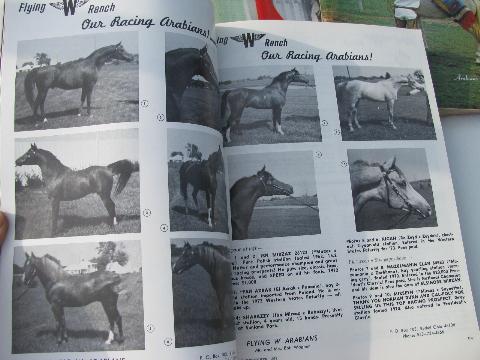 photo of Arabian Horse News magazine back issues full year 1971 #3