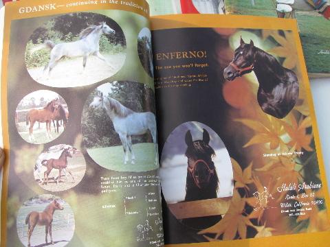 photo of Arabian Horse News magazine back issues full year 1971 #4