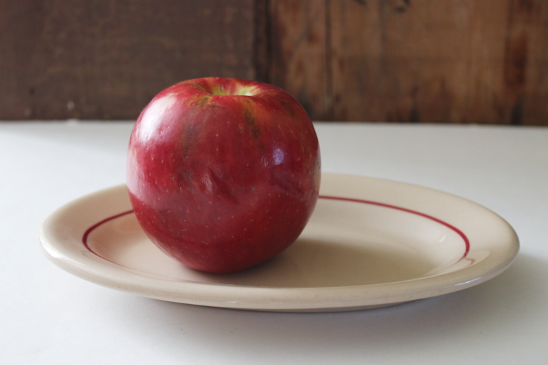 photo of Arrowhead pattern vintage Shenango China oval plate, plain red band on Inca Ware tan ironstone  #2