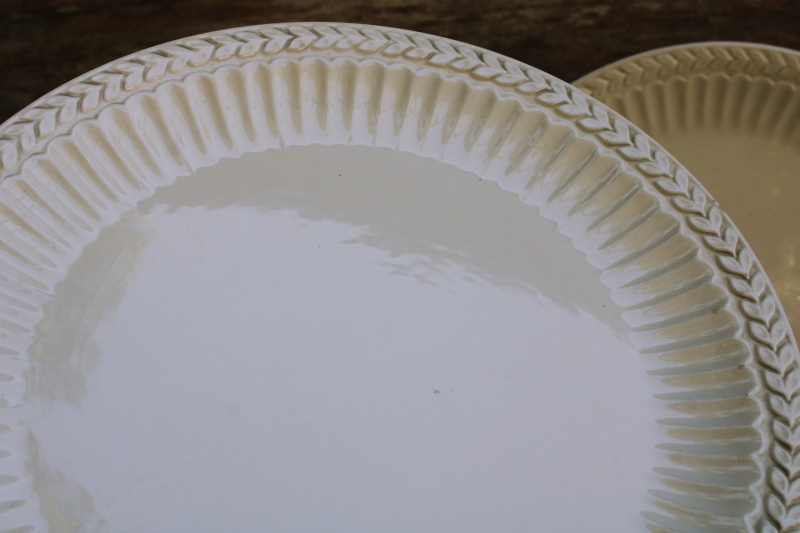 photo of Athena creamy white ironstone dinner plates w/ embossed laurel band border, American Atelier China  #3