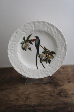 catalog photo of Audubon Birds of America vintage Alfred Meakin china plate, Fork Tailed Flycatcher print