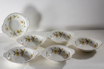 catalog photo of Autumn Mist yellow coreopsis flowers vintage Canonsburg china chowder bowls w/ handles