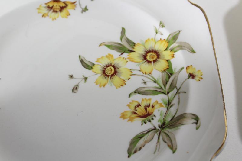 photo of Autumn Mist yellow coreopsis flowers vintage Canonsburg china square plates #2