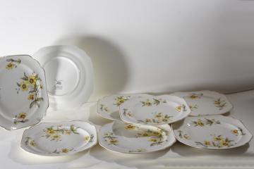 catalog photo of Autumn Mist yellow coreopsis flowers vintage Canonsburg china square plates