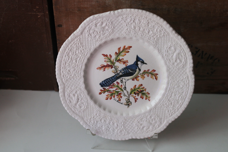 photo of Aviary birds embossed border vintage Royal Cauldon England ironstone china plate blue jay print #1