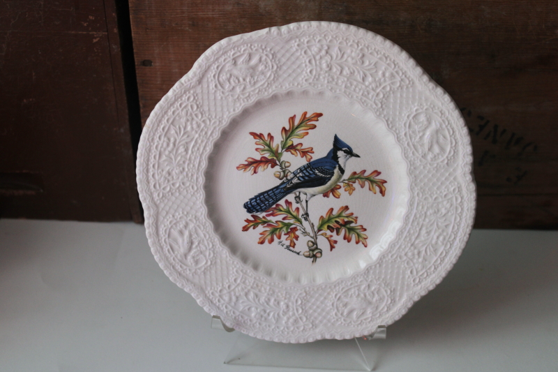 photo of Aviary birds embossed border vintage Royal Cauldon England ironstone china plate blue jay print  #1