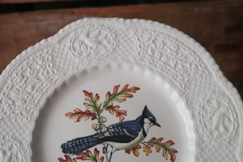 photo of Aviary birds embossed border vintage Royal Cauldon England ironstone china plate blue jay print  #3