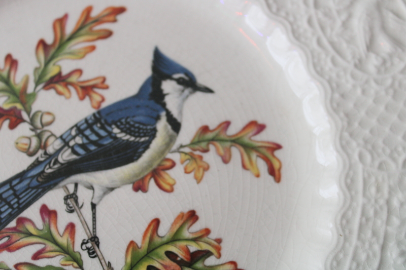 photo of Aviary birds embossed border vintage Royal Cauldon England ironstone china plate blue jay print  #4