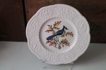 Aviary birds embossed border vintage Royal Cauldon England ironstone china plate blue jay print 