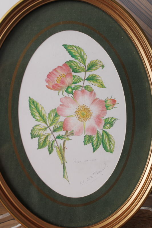 photo of Avon English botanical prints oval framed floral pictures vintage Elizabeth Sheppard art  #3