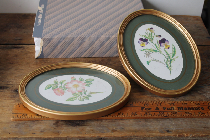 photo of Avon English botanical prints oval framed floral pictures vintage Elizabeth Sheppard art  #5