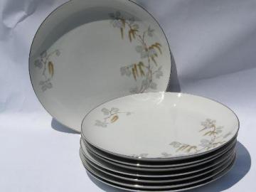 catalog photo of Birch Blossom china, set of 8 vintage Bavaria porcelain dinner plates