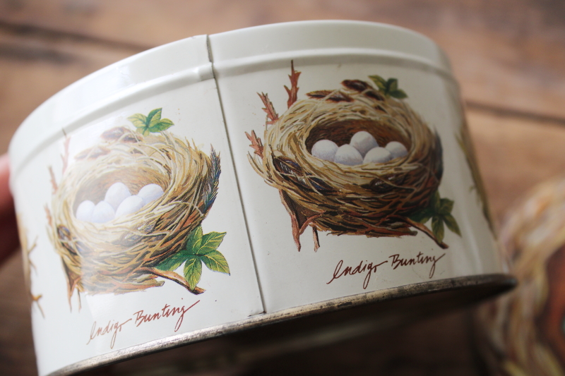 photo of Birds nests print vintage Dept 56 round metal tin, antique style artwork natural history  #5
