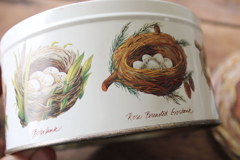 photo of Birds nests print vintage Dept 56 round metal tin, antique style artwork natural history  #6