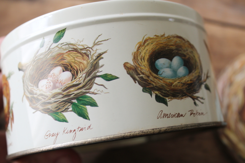 photo of Birds nests print vintage Dept 56 round metal tin, antique style artwork natural history  #7