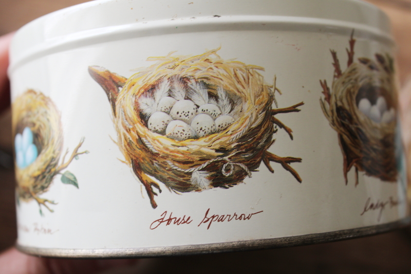 photo of Birds nests print vintage Dept 56 round metal tin, antique style artwork natural history  #8