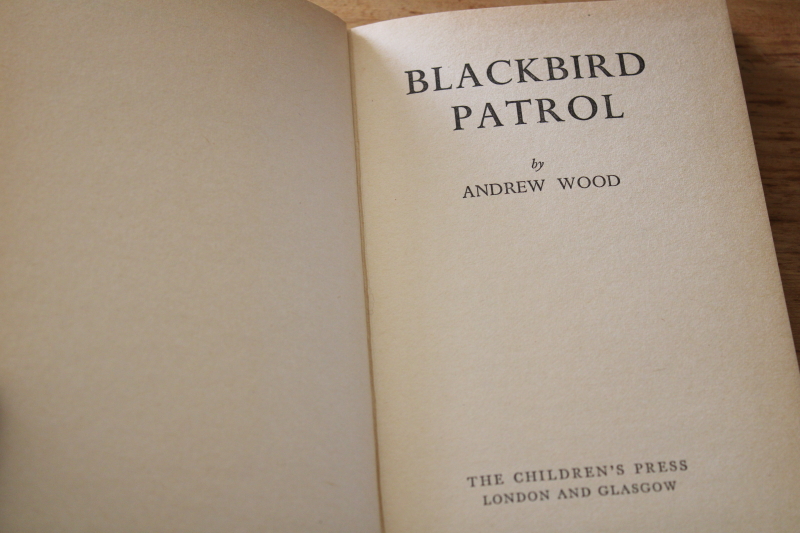 photo of Blackbird Patrol, early 1900s vintage childrens book, historical story fighting the slave ships #4