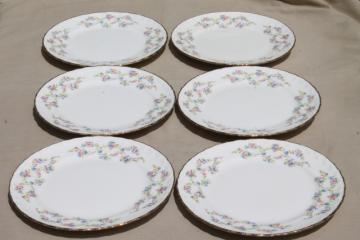 catalog photo of Blue Belle forget me not floral vintage Pope Gosser china dinner plates set of 6