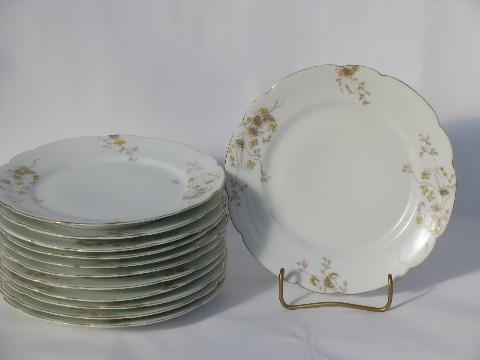 photo of Bohemia antique Imperial Karlsbad floral transferware china, 12 salad plates #1