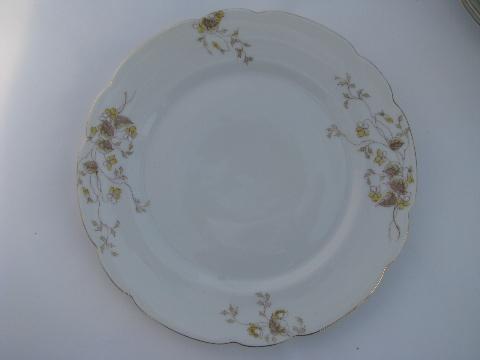 photo of Bohemia antique Imperial Karlsbad floral transferware china, 12 salad plates #2