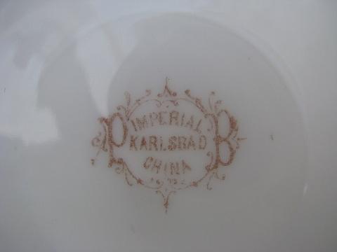 photo of Bohemia antique Imperial Karlsbad floral transferware china, 12 salad plates #3